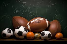 一日四赛全胜 樊振东获留洋生涯首冠